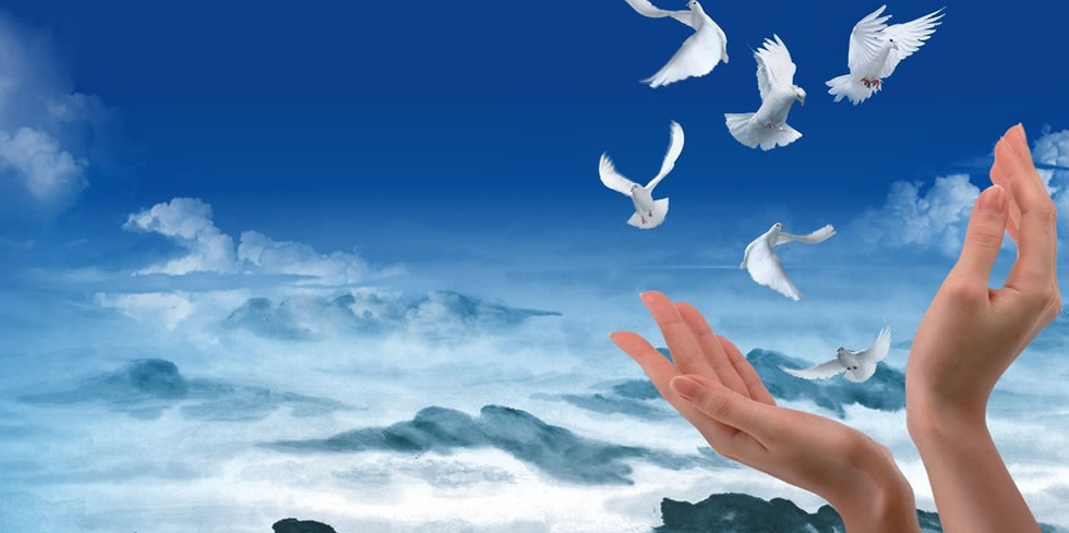 2200UST�F(xi��n)��(ch��ng)